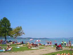 Balaton